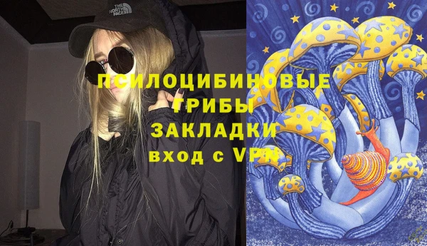 2c-b Беломорск