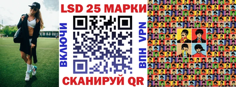 Марки NBOMe 1,5мг  продажа наркотиков  KRAKEN ONION  Елизово 
